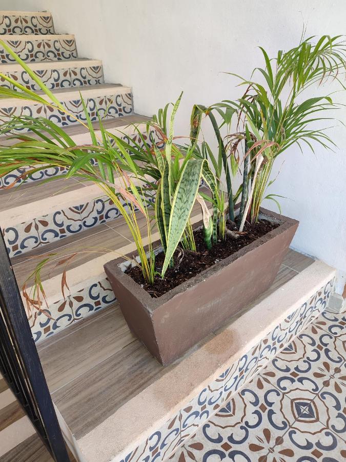 Hotel Casa Henequen Valladolid  Extérieur photo